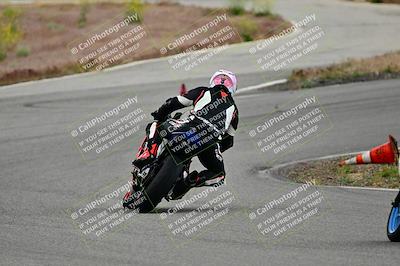 media/May-10-2024-2WTD (Fri) [[c88d7990af]]/Group B/Session 6-Turn 11/